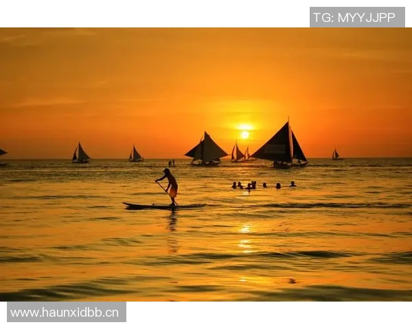 《追风逐梦：青春热血在竞技赛场上的拼搏与荣耀》